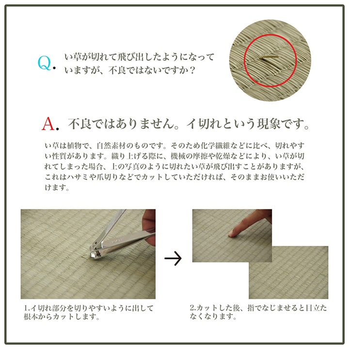 NCXシルフ い草 い草ラグ カーペット シンプル ボーダー 和室 リビング