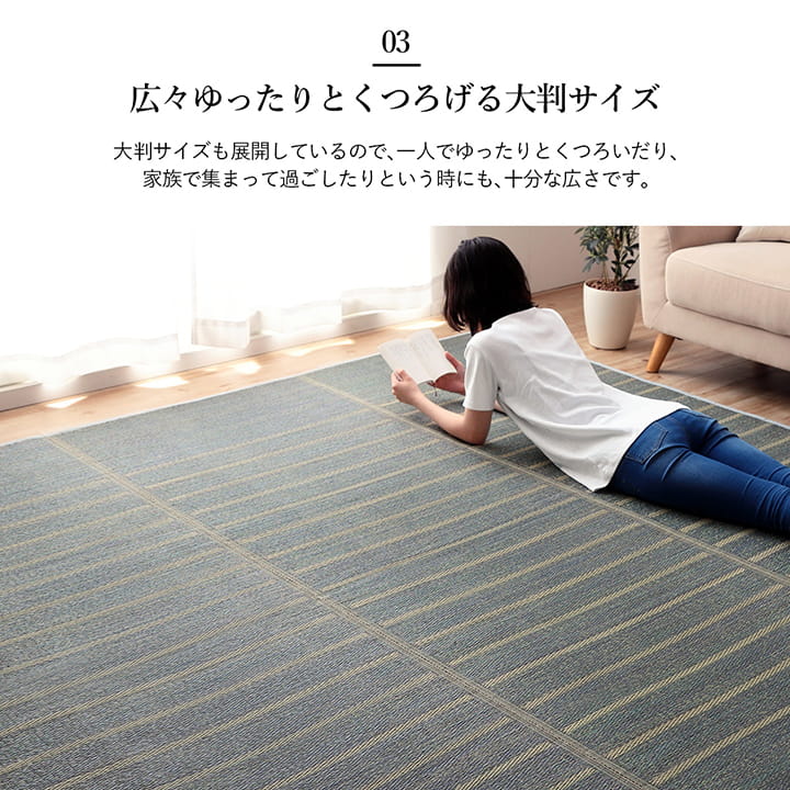 NCXシルフ い草 い草ラグ カーペット シンプル ボーダー 和室 リビング