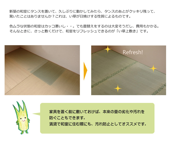 F不知火 い草 ござ 国産 日本製 上敷き 和室 敷物 カーペット 本間 フリーカット 市松柄 お手入れ簡単 夏 抗菌防臭 調湿 消臭 空気清浄 汚れにくい 送料無料_2