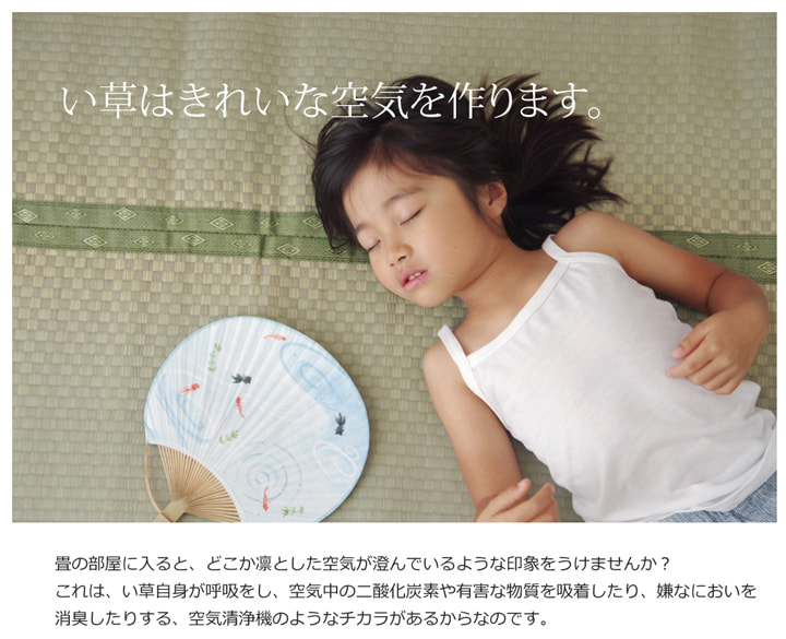 F不知火 い草 ござ 国産 日本製 上敷き 和室 敷物 カーペット 本間 フリーカット 市松柄 お手入れ簡単 夏 抗菌防臭 調湿 消臭 空気清浄 汚れにくい 送料無料_8