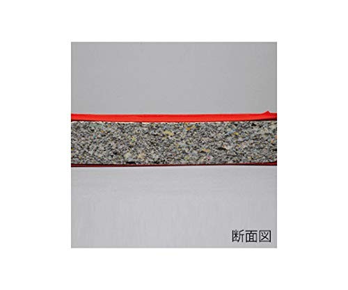 EVERNEW（エバニュー） 屋内外兼用 体操マット赤 送料無料 EKM415-100