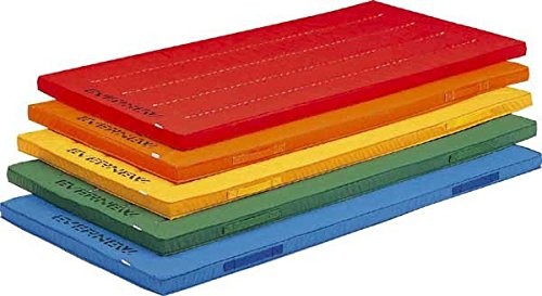 EVERNEW（エバニュー） エコ・抗菌カラーマットすべり止付120×240×5cm