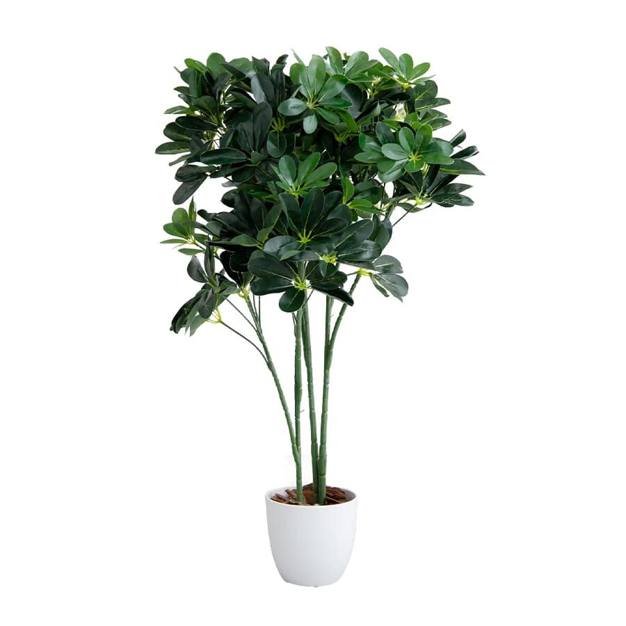 観葉植物 カポック シェフレラ フェイクグリーン グリーン : 琥珀商店