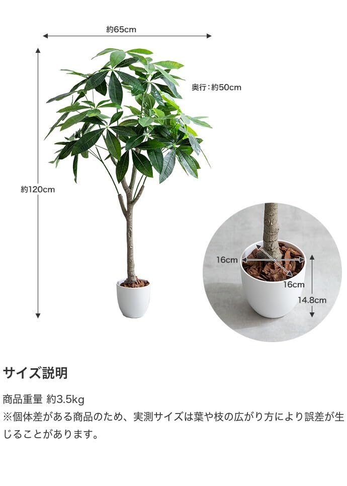 観葉植物 パキラ フェイクグリーン 人工 室内 グリーン : 琥珀商店