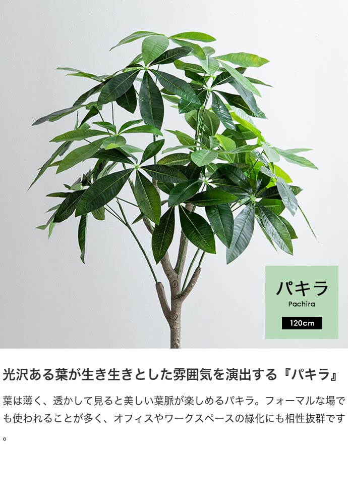 観葉植物 パキラ フェイクグリーン 人工 室内 グリーン : 琥珀商店