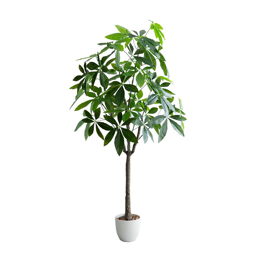【数量限定】Yinleus 人工観葉植物 フェイクグリーン 観葉樹 造花 パキラ Amazon｜Yinleus 人工観葉植物 フェイクグリーン 観葉樹 造花 パキラ