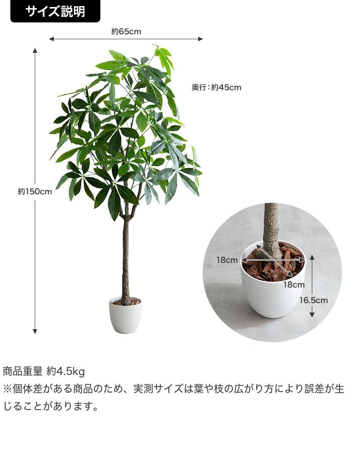 観葉植物 パキラ フェイクグリーン 人工 室内 グリーン : 琥珀商店