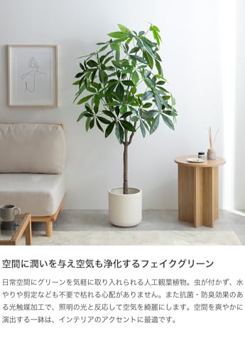 観葉植物 パキラ フェイクグリーン 人工 室内 グリーン : 琥珀商店