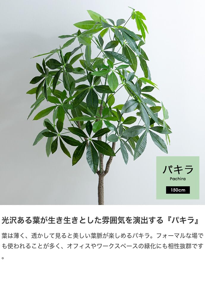 観葉植物 パキラ フェイクグリーン 人工 室内 グリーン : 琥珀商店