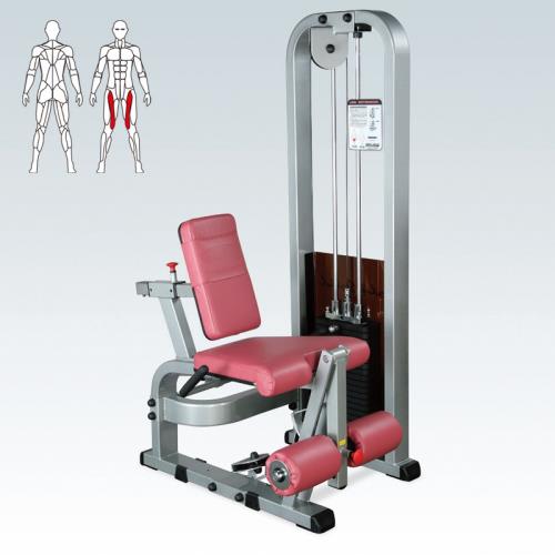 EVERNEW エバニュー トレーニング フィットレス レッグ