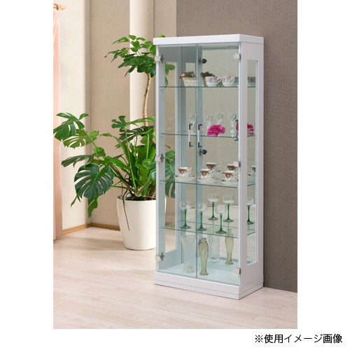 送料無料 コレクションラック コレクションケース 5段 幅60×奥行30×高