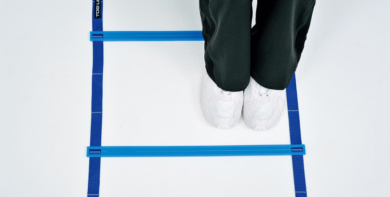 TOEI LIGHT（トーエイライト） スピードラダーHG50-8M TOEI LIGHT