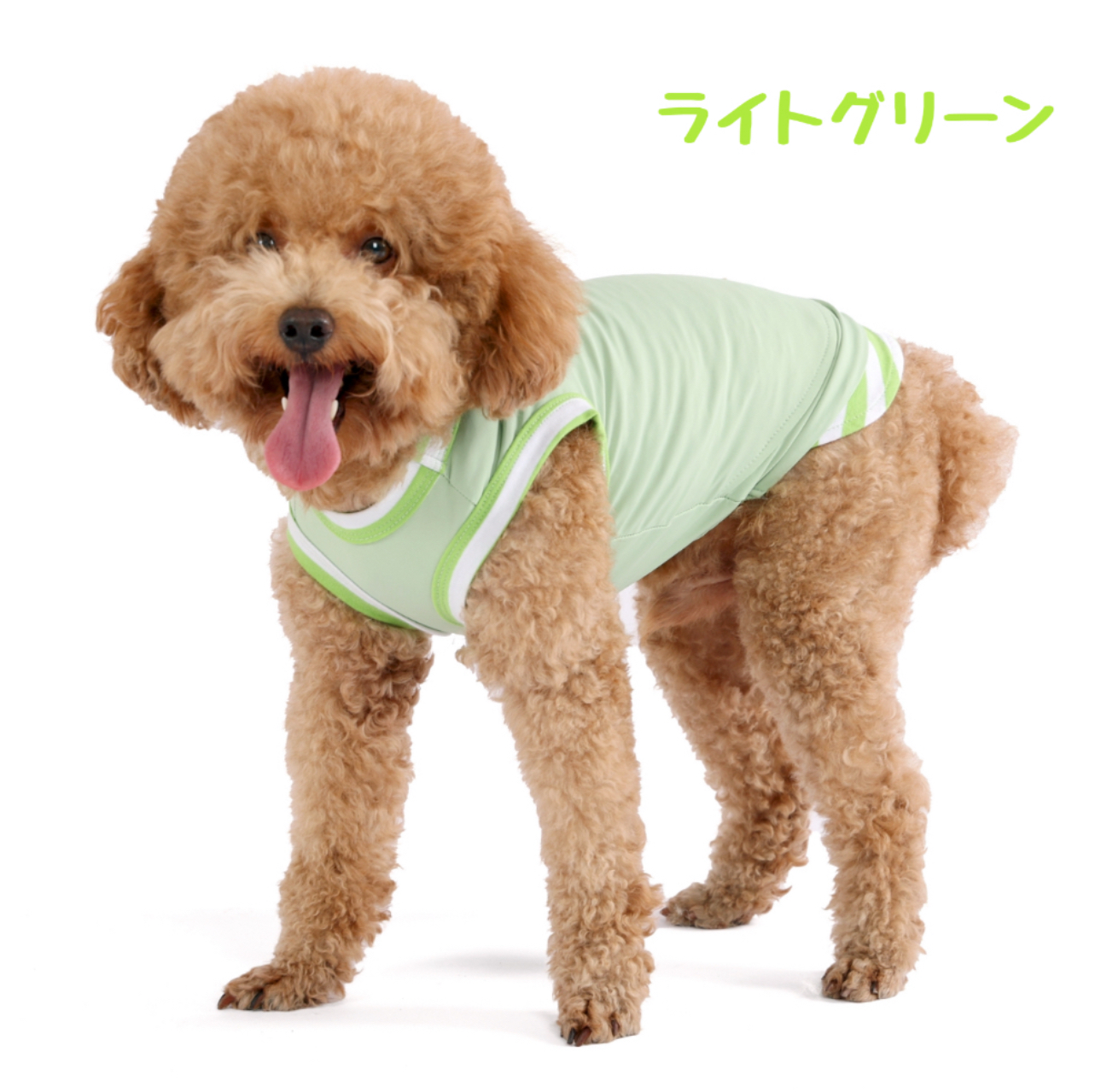 犬服 SS わんこの普段着　フルーツカシェモア　グリーン KOHKI JAPAN 【期間限定割引中！1,260円⇒1,160円】犬服 接触冷感 UV