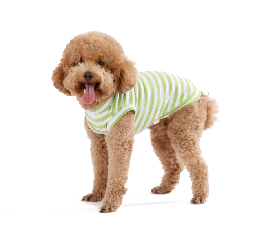 犬服　あき KOHKI JAPAN 【期間限定値下げ中！！1,260円⇒1,100円】【オリジナル