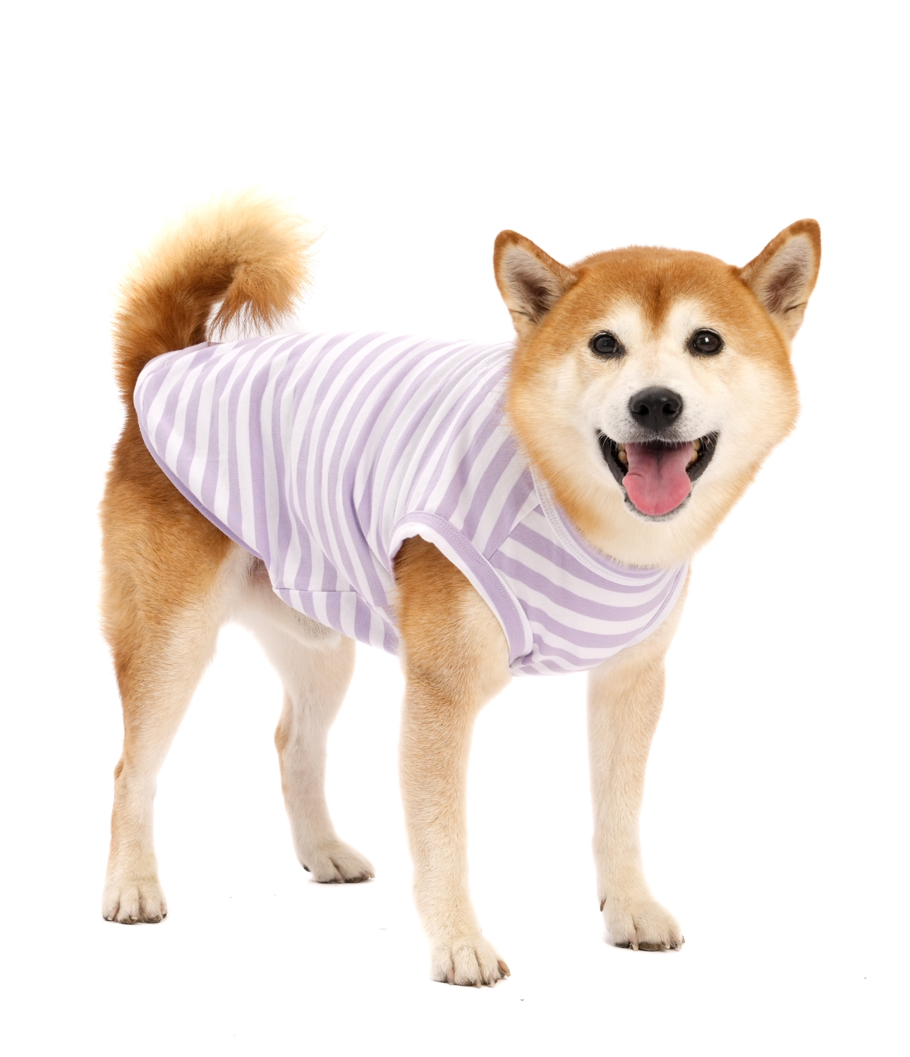 犬服♡のんき KOHKI JAPAN 【オリジナル商品】犬服 犬の服 犬 服 春 夏 秋 春用 春服