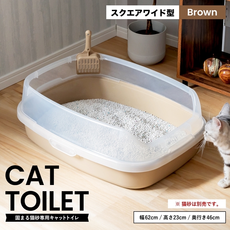猫 トイレ しつけ