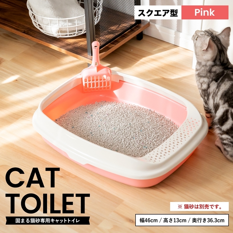 キャットトイレ スクエアｐｉ 猫 トイレ 本体 ネコトイレ 猫用トイレ キャットトイレ しつけ 猫砂 コーナン コーナンeショップpaypayモール店 通販 Paypayモール