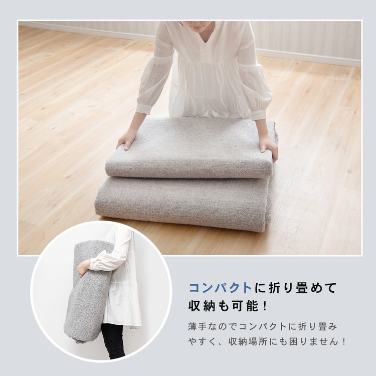 コーナン オリジナル LIFELEX 防ダニカーペット 江戸間約6帖