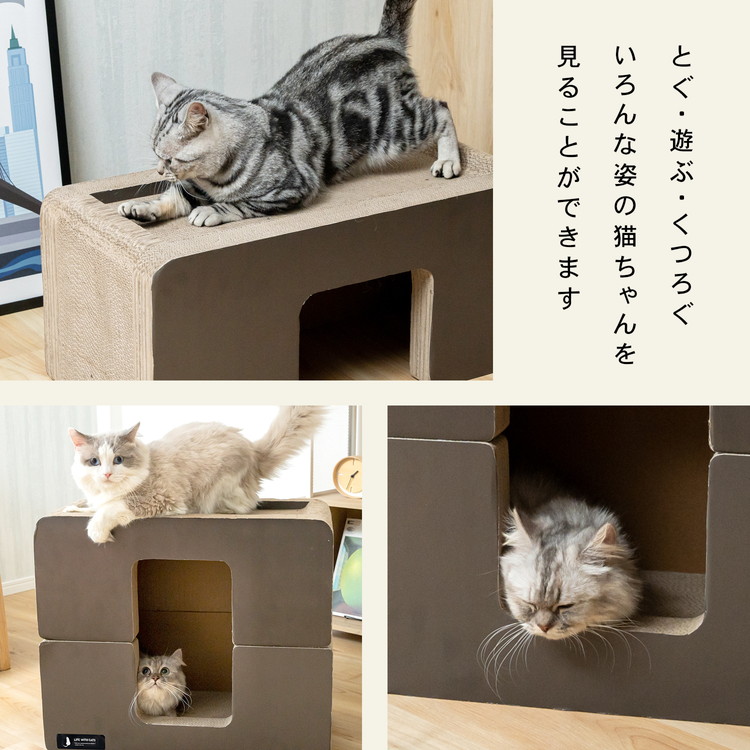 LIFELEX 爪とぎ 猫 ダンボール つめみがき ベッド型 ブラック