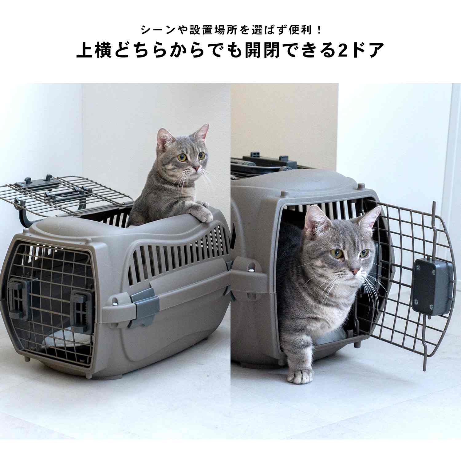 ◇コーナンオリジナル LIFELEX 2ドアハードキャリー ワイド