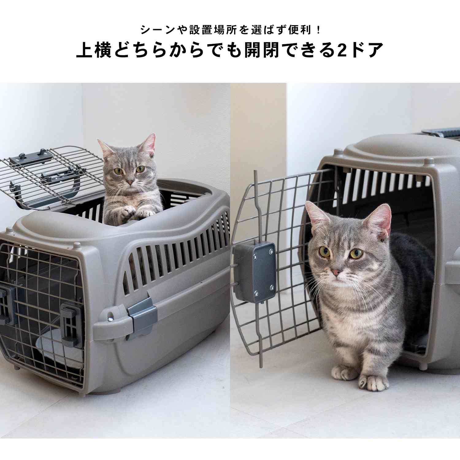 ペットキャリー ハードキャリー 2ドア ワイドハンドル Mサイズ