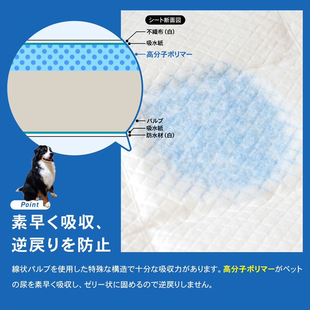 コーナンオリジナル LIFELEX 薄型ペットシーツこまめに交換用 スーパー