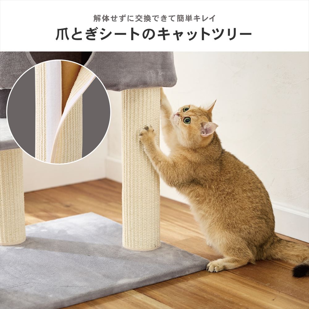 爪とぎ