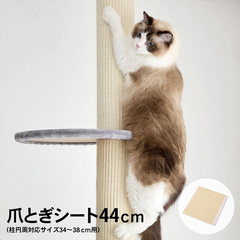 レンガにゃん ☆HAPiNS☆ニャンレンジャー2☆｜ソリオ宝塚