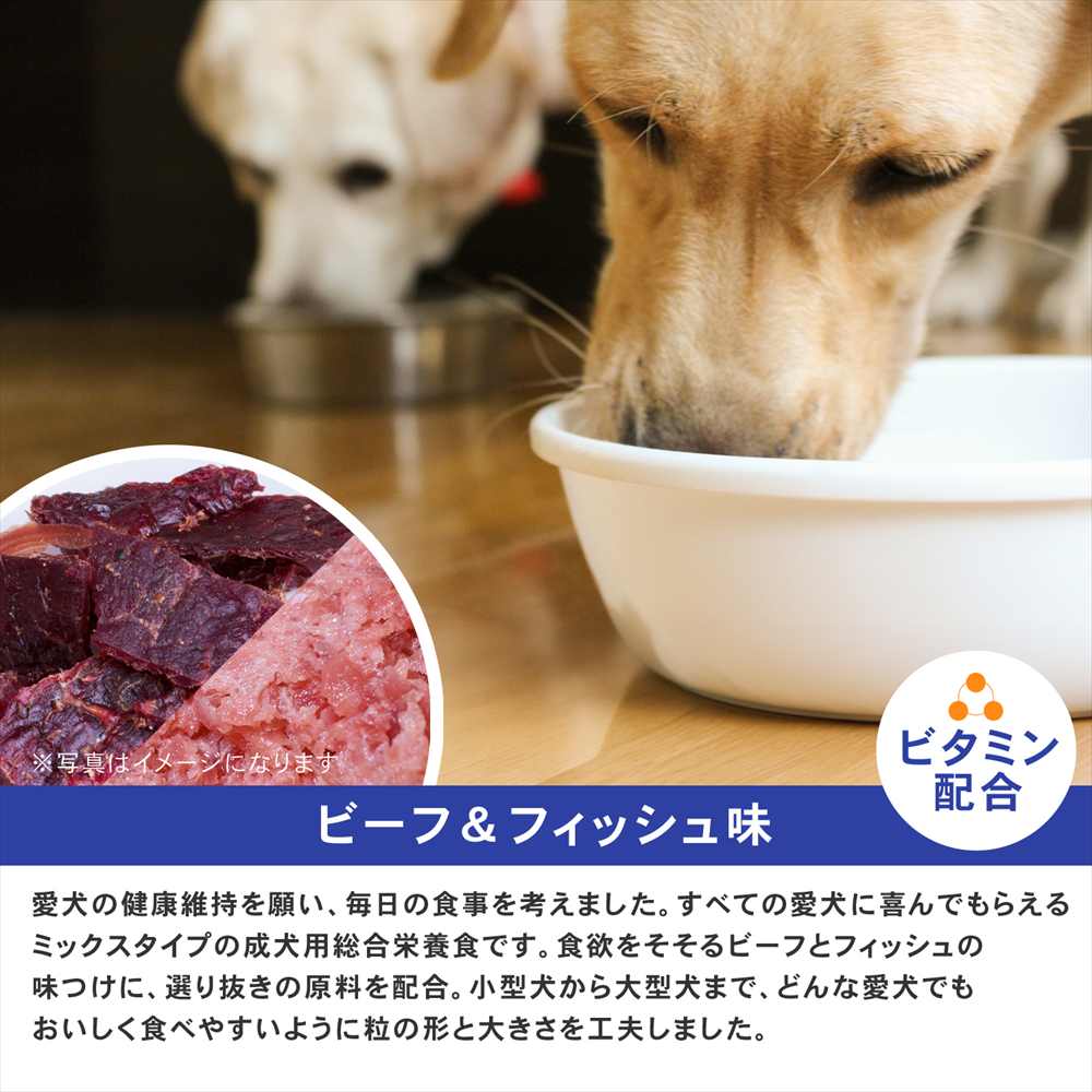 ドッグフード 全犬種用 ドライフード ドッグタイムス ビーフ