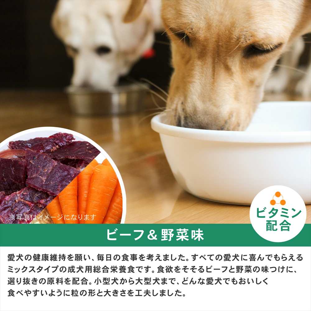 ドッグフード 全犬種用 ドライフード ドッグタイムス ビーフ＆野菜味