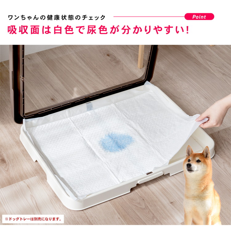 健康状態チェック