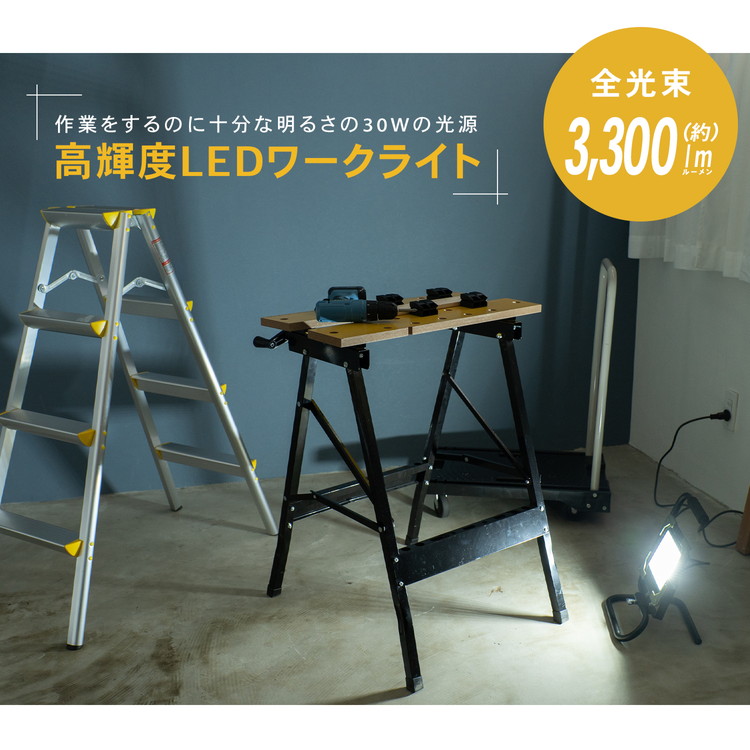 [51]【美品】PRO-ACT LEDワークライト30w PROACT LEDワークライト30W×2灯 WLT－030LWKN(30W