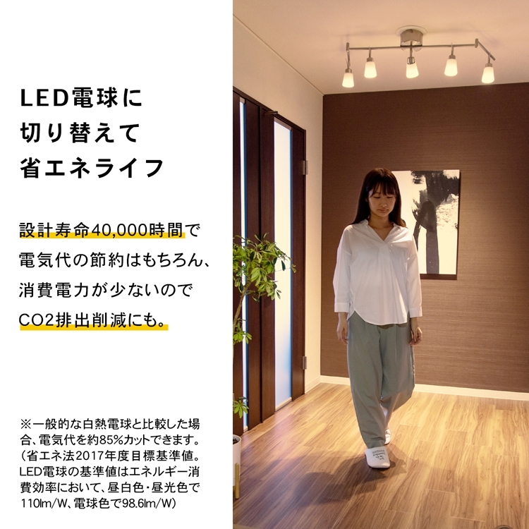コーナン オリジナル PortTech LED電球小型広配光40W相当 電球色 2個
