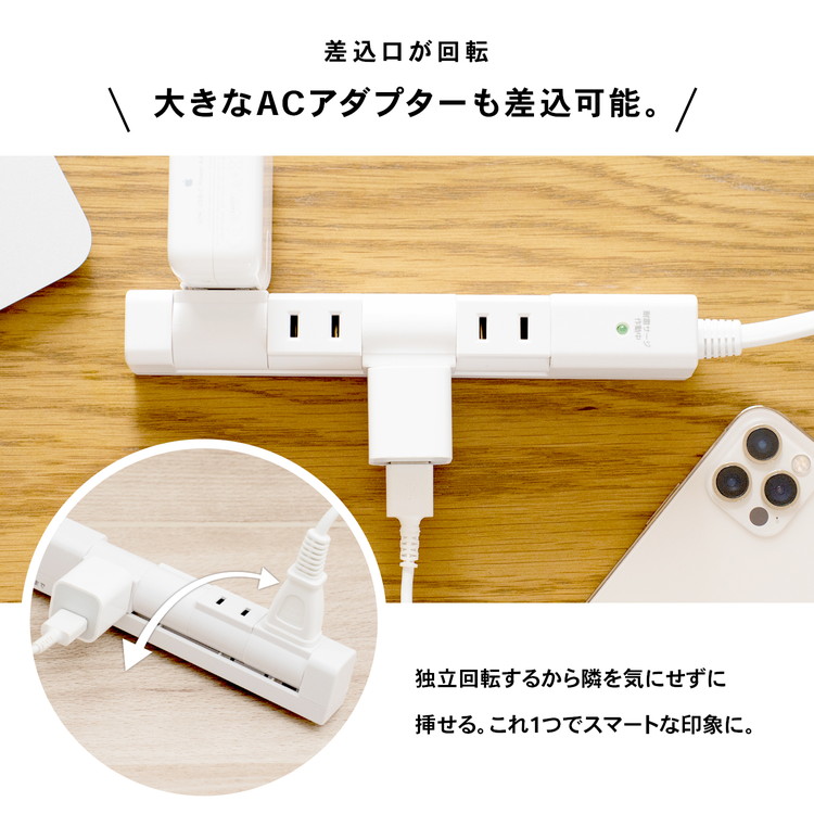 日本電産サンキョー ディスクオルゴール 22弁 ディスク10枚．AC