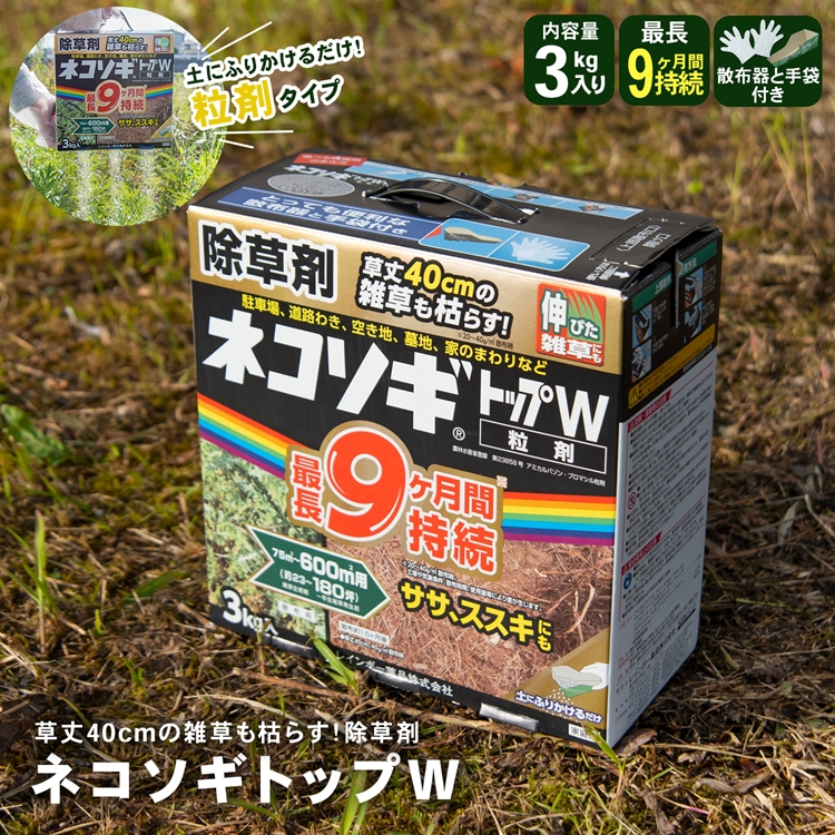 ◇レインボー薬品 ネコソギトップＷ ３ｋｇ : 4903471101077 : コーナンeショップ Yahoo!ショッピング店 - 通販 -  Yahoo!ショッピング