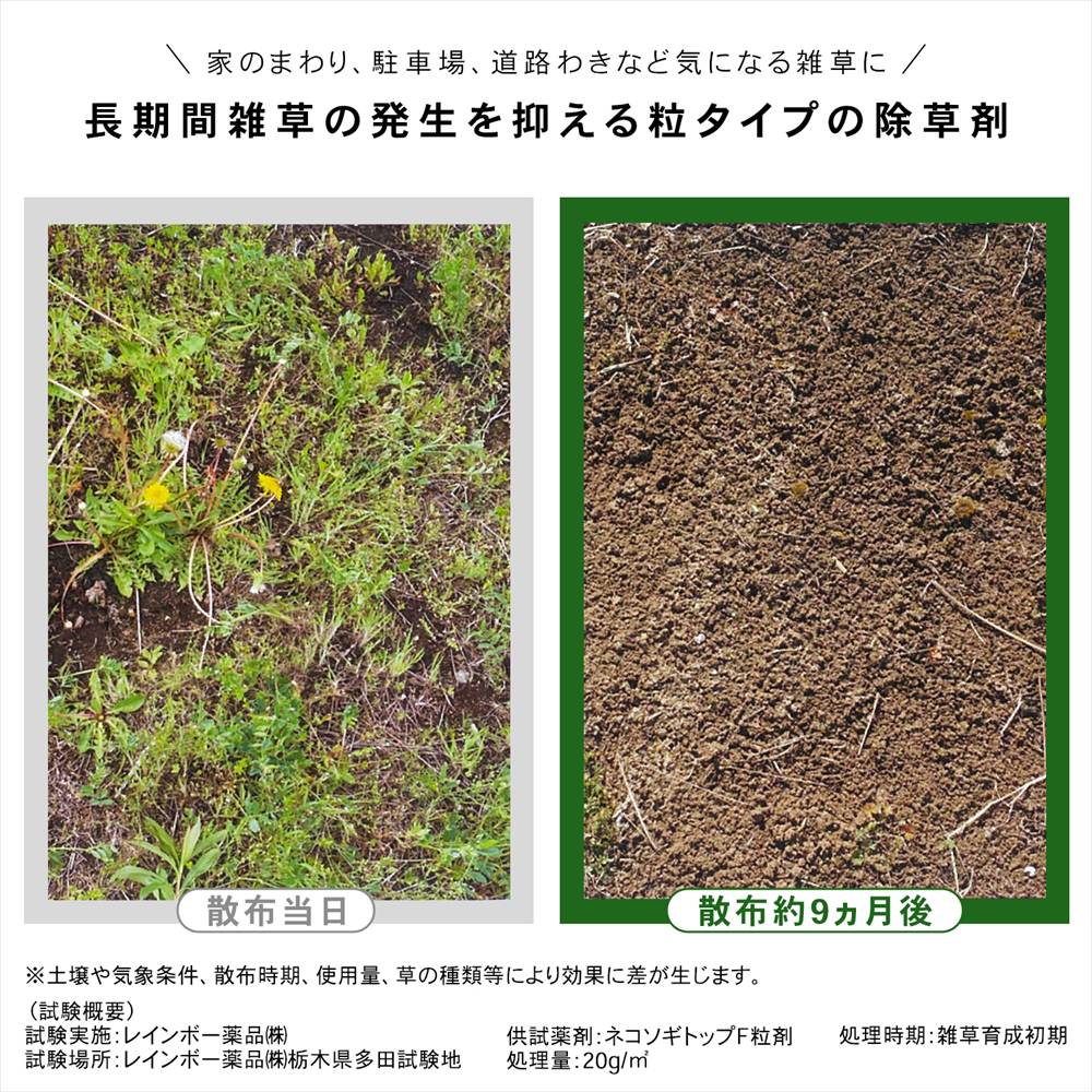 粒タイプ
