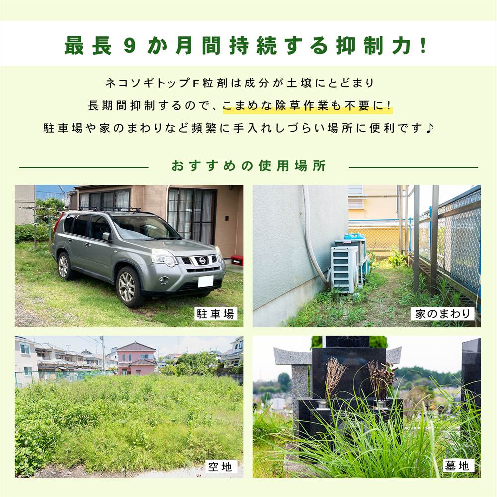 9ヶ月間持続