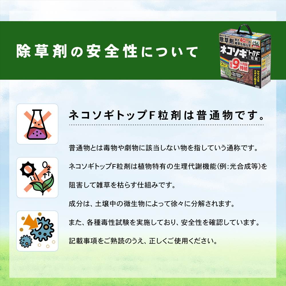 安全性について
