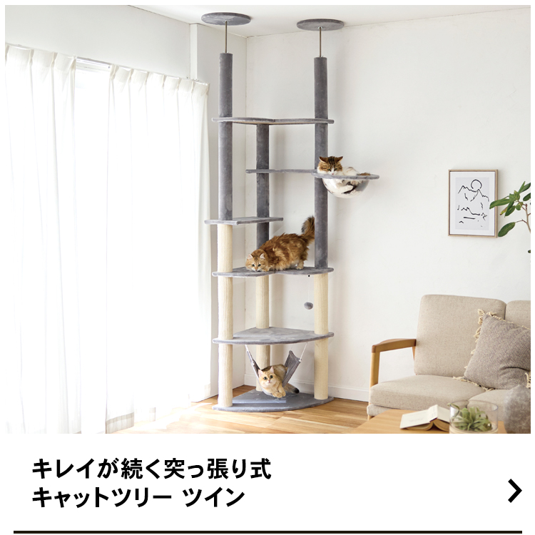 コーナンオリジナル LIFELEX キレイが続く突っ張り式キャットツリー