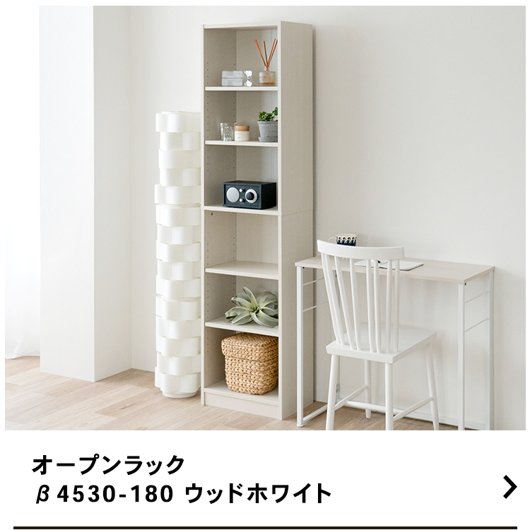 rack45_04.jpg