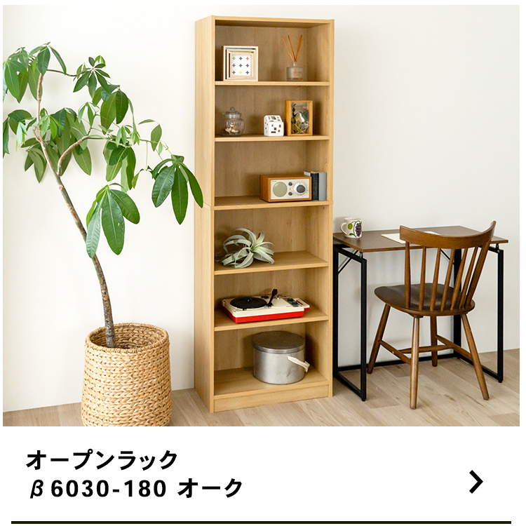 ポイント3倍 6/25-6/28】コーナンオリジナル LIFELEX オープンラックβ