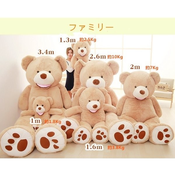 新作入荷 ギフト 誕生日 クリスマス コストコ 熊 テディベア くま ぬいぐるみ プレゼント 誕生日 クリスマス くま ぬいぐるみ 彼女 250cm 撮影道具 動物抱き枕 お祝い お礼 記念日 恋人 おもちゃ