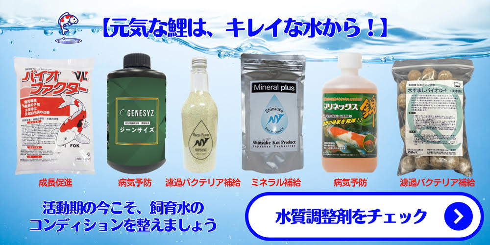 コイモール・ドットコムYahoo!店 - Yahoo!ショッピング