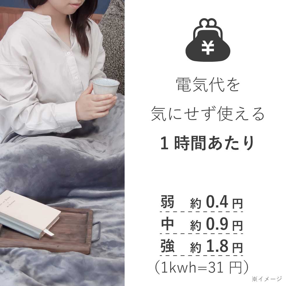 KOIZUMI 電気毛布｜冷暖房器具、空調家電｜家電 おすすめ人気商品一覧