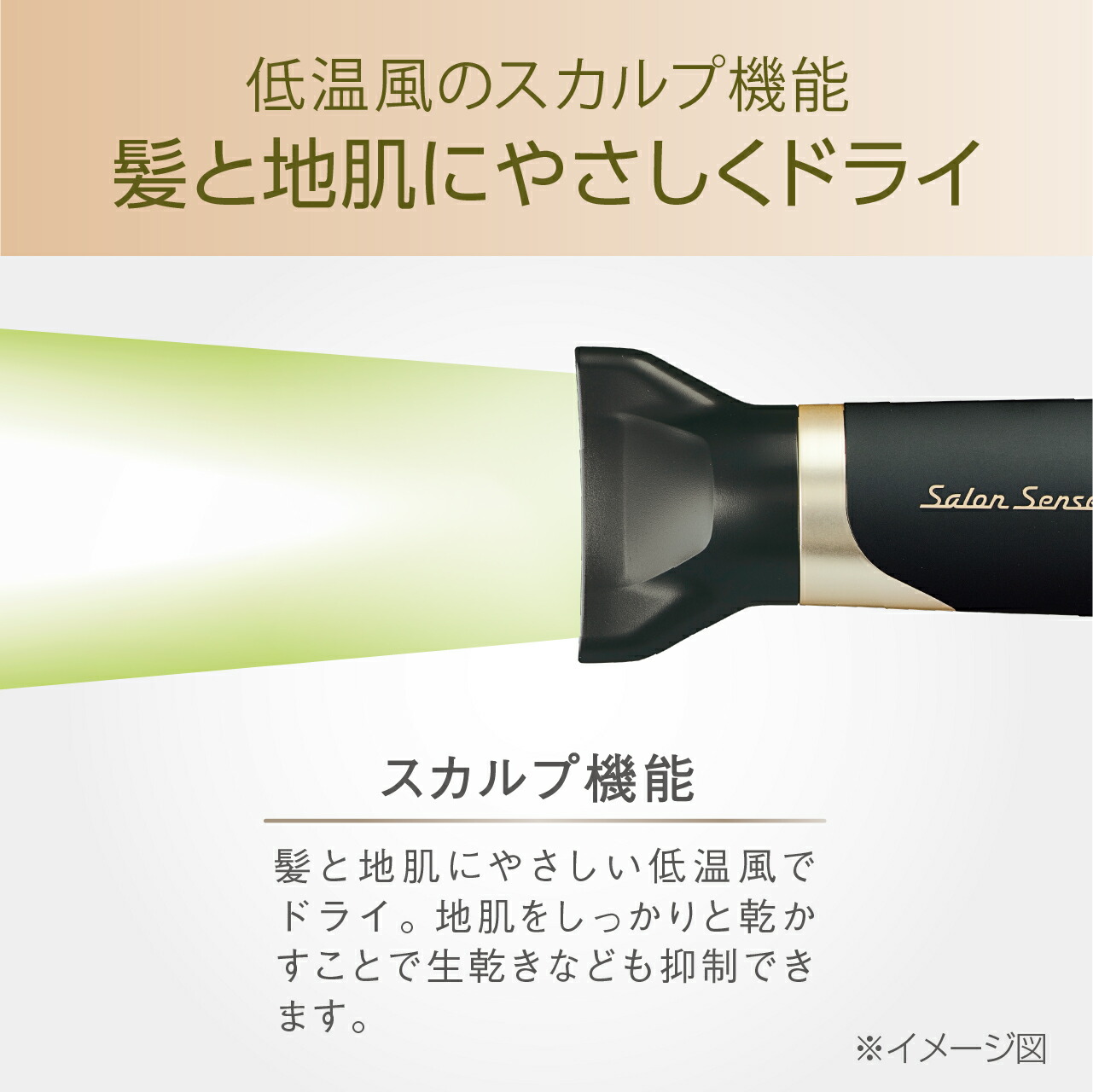 KOIZUMI（コイズミ） 最終処分大特価！【メーカー公式】サロンセンス
