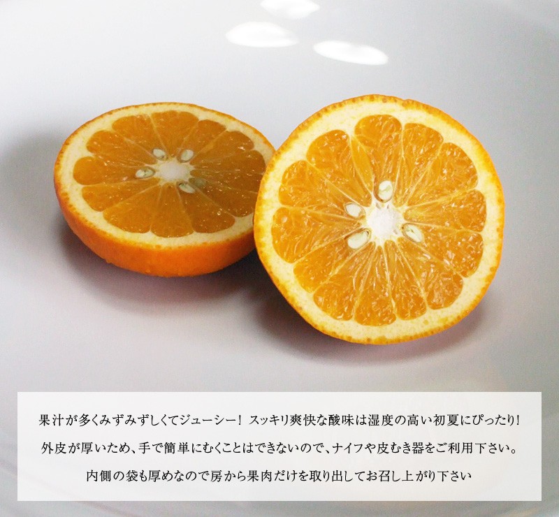 甘夏ページ 甘夏セット【木取り無選果】甘夏＆紅甘夏（10kg）：愛媛県産