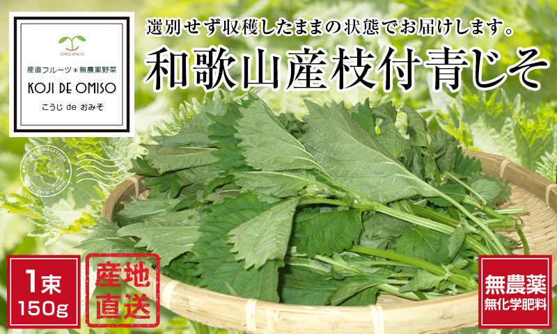 無農薬 和歌山産 枝付き青じそ（大葉）□期日指定不可・発送翌日受取