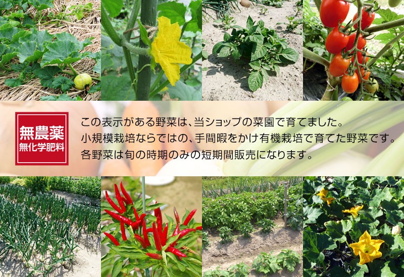 自家菜園