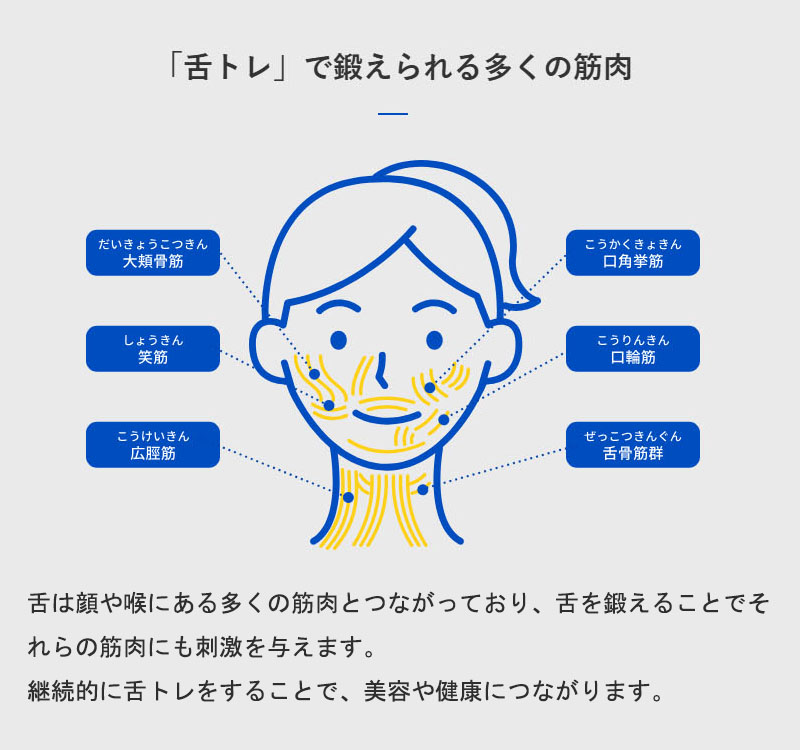 フェイスラインボトル