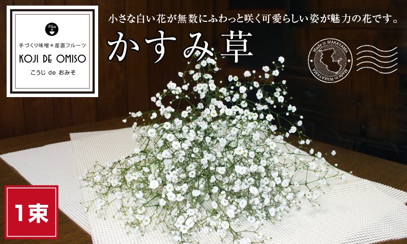 かすみ草（カスミソウ） 1束 ※生花以外同梱不可・100サイズで発送